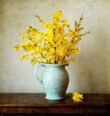 Spring In A Jug Framed Flower Art Flower Art Still Life Photography