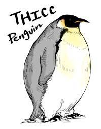 Thicc Penguin Baalbuddy Know Your Meme