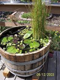 Container Water Garden Container Water Gardens Container Water Garden Small Water Gardens