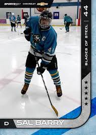 Thousands of images and values are also included. Make A Custom Hockey Card In Seconds Puck Junk