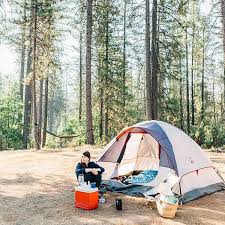 Website To Search All Campsites Near You Yosemite Camping Camping World Locations Camping Locations