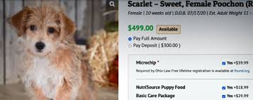 Check out our top charities for 2020! Local Dog Broker Cited In Horrible Hundred Report Starts Rescue Nbc4 Wcmh Tv