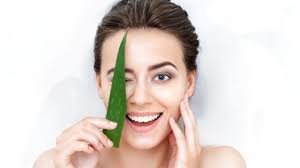 Winter Skin Care: শীতকালে এই একটা উপাদানই আপনার ত্বকের যাবতীয় সমস্যা থেকে  আপনাকে সুরক্ষিত রাখতে পারে...