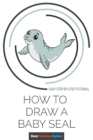 How To Draw A Baby Seal Really Easy Drawing Tutorial Drawing Tutorial Easy Easy Drawings Drawing Tutorial