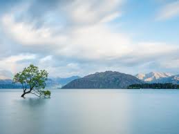 Nieuw zeeland ligt op de grens van de 2 grootste tektonische platen van de aarde wat regelmatog zorgt voor aardbevingen en vulkanen. 10x Highlights Op Het Zuidereiland Van Nieuw Zeeland