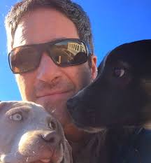 Cape Dog Walking — CAPE DOG WALKING