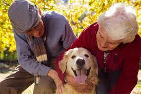 Check spelling or type a new query. Peaceful Pet Euthanasia At Home End Of Life Vet Care Vets2home