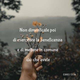 Lettera agli Ebrei 13:16 (NR94) - Non dimenticate poi di esercitare l - App Bibbia