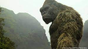 A place for anything related to the lovestruck ape! Vietnam King Kong Kulisse Fur Touristen Dw Reise Dw 11 04 2017