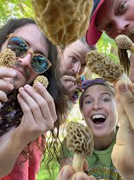 Watch me pour this galaxy mushroom! ✨