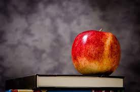 (1) metaphysical questions, such as is there a set of necessary properties. What Are The Principles Of Art Definition Examples Video Lesson Transcript Study Com