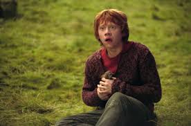 Rowling confirmed that there were certain charged moments where things could have gone a. Some Interesting Facts You May Not Have Known About Ron Weasley Wizarding World