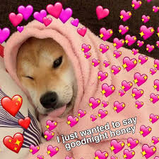 Perhaps, because the shiba inu dog is not fluent in the english language, these captions are normally grammatically incorrect, which in itself, adds to the humor of the meme. Pin By Ana Carolina On Doggo Cute Memes Cute Love Memes Goodnight Cute