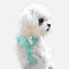 Shop huge selection and get free shipping! Harness Straps Bow Tie Options See All 50 Options Here Slip On Dog Harness Do Not Purchase This Listing Polkadot Dog Harness Pet Supplies Pet Collars Leashes Delage Com Br