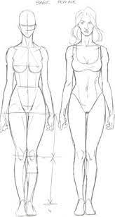 Once you've sketched a female body, you can. Female Body Anatomy Drawing Anatomy Drawing Diagram
