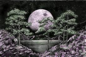 Image result for phil rushton comics