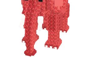 Image result for Kotschya capitulifera