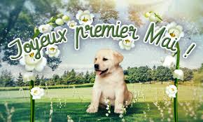 Résultats de recherche d'images pour «&nbsp;muguet&nbsp;»