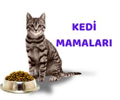 Kedilere Ne Miktarlarda Ve Kac Ogun Mama Vermeliyiz Jakopet