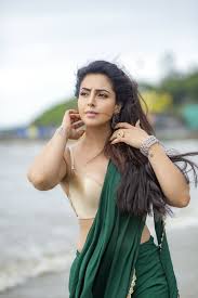 Here, we discuss the best indian web series actress name and photos with its details. Top 10 Indian Actress Name List With Pictures 2015