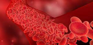 Blood Clots In Itp Itp Australia