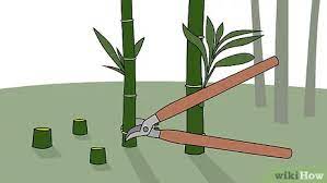 Collect fruit and berries as soon as they are ripe, placing them in a container with a cover. 3 Ways To Kill Bamboo Wikihow