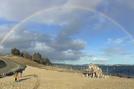 David well, i'm playing basketball on saturday morning. Pop Up Seaside Cinema Comes To Colwood Beach This Weekend Victoria News