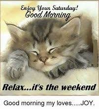 Funny happy saturday quotes images. 450 Saturday Memes Ideas Saturday Memes Saturday Quotes Saturday