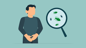 Image result for pubic lice symptoms