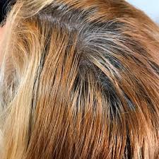 These tones become more noticeable over time, creating that undesirable brassy brown hair. How To Fix Brassy Orange Roots In Dark Brown Hair At Home