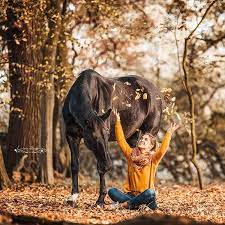 Es sind sooo viele tolle bilder mit @sophia_m_w entstanden und ich freue mich dass pferdefotografie mit leidenschaft! Pferdefotografie Im Herbst