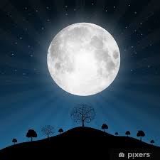 Lune noire pleine lune clair de lune art esthétique art de la peinture peinture dessin croquis peinture dessin dessin animé olivier ledroit lune bleue art érotique barbier bande dessinée. Poster Vecteur De Pleine Lune Illustration Avec Les Etoiles Et Les Arbres Pixers Nous Vivons Pour Changer
