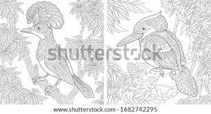 Hoopoe bird and australian laughing kookaburra or kingfisher. Shutterstock Puzzlepix