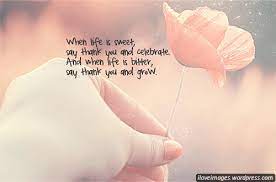 If you take a flower in your hand and really look at it, it's your world for a moment. Cute Flowers Quotes Ilove Images