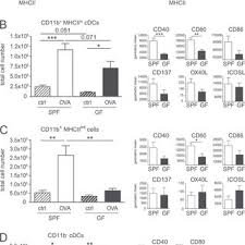 De aceea, am implementat autentificarea in doi pasi la accesarea contului de client. Pdf Dysregulation Of Allergic Airway Inflammation In The Absence Of Microbial Colonization
