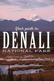 Many people feel that a denali trip is an essential part of their alaska adventure vacation. Running Buck Wild Denali National Park Alaska Travel Denali National Park Denali National Park Alaska