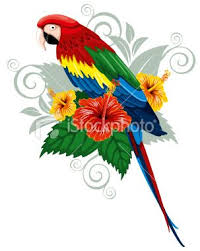 Bird Sitting On Branch Sketch Bright Parrots Sitting On A Branch With Tropical Flowers Bird Drawings Flower Drawing Tropical Flowers
