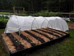 Wood screws (coated for weather resistance). Using Row Covers In The Garden Extension