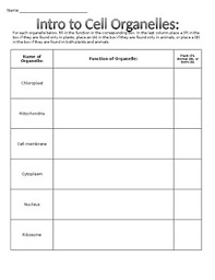 Floating around in the cytoplasm are small structures called organelles. Introduction To Cell Organelles Worksheet Tpt