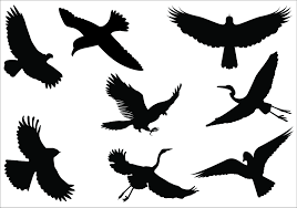 Bird In Flight Silhouette Clip Art Bird Silhouette Flying Bird Silhouette Flying Bird Silhouette Clip Art Flying Bird Silhouette Bird Silhouette Silhouette Clip Art