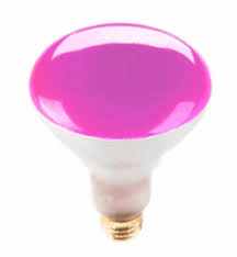 R40 Pink Light Bulbs 866 637 1530