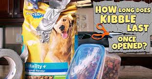How Long Does Kibble Last Puppy Supplies Best Pet Dogs Cute Baby Animals