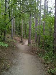 Blue Trail Mountain Bike Trail At Island Lake Recreation Area Brighton Michigan Bike Trails Island Lake Mountain Bike Trails