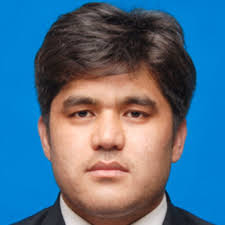 How can I extract the Pseudomonas Aeruginosa plasmids if the size of the  plasmid is 200 KB?