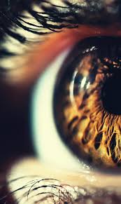 Learn about common eye diseases and their treatments. Conjunctivitis Pink Eye Diagnosis Treatment Toronto
