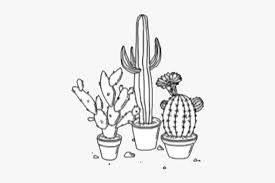 Aesthetic Flower Black And White Drawing Hd Png Download Kindpng Drawing common sunflower black and white sketch, sunflower draw png clipart. white drawing hd png download