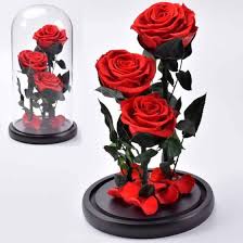 We specialize in bouquet preservation and flower preservation for weddings, funerals. 3 Pcs Preserved Rose In Glass Dome Preserved Roses Flowers Id 11060842 Buy China Preserved Rose Eternal Rose Preserved Flower Ec21