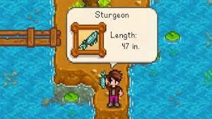 You'll also want them to complete the community centre, and what's more, selling them is one of the best ways of in this stardew valley fishing guide, i've put together everything you need to know about fishing, including different types of. Stardew Valley Fish Pond Top 5 Best Fish Bright Rock Media