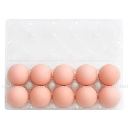 Trứng Gà Hồng Tafa Hộp 10 Trứng