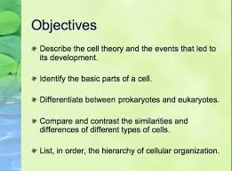 Biology I Unit 3 Cell Structure And Function Lecture 1 Intro To Cells After Viewing This Video Lecture On Cells You Should Be A Cell Theory Cell Prokaryotes